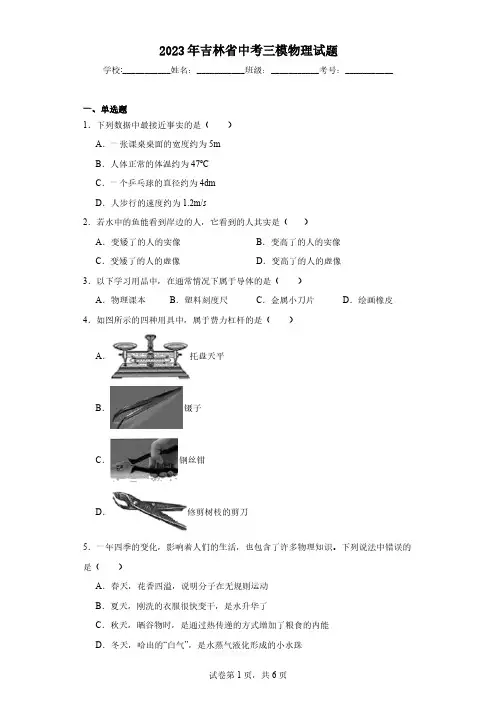 2023年吉林省中考三模物理试题(含解析)