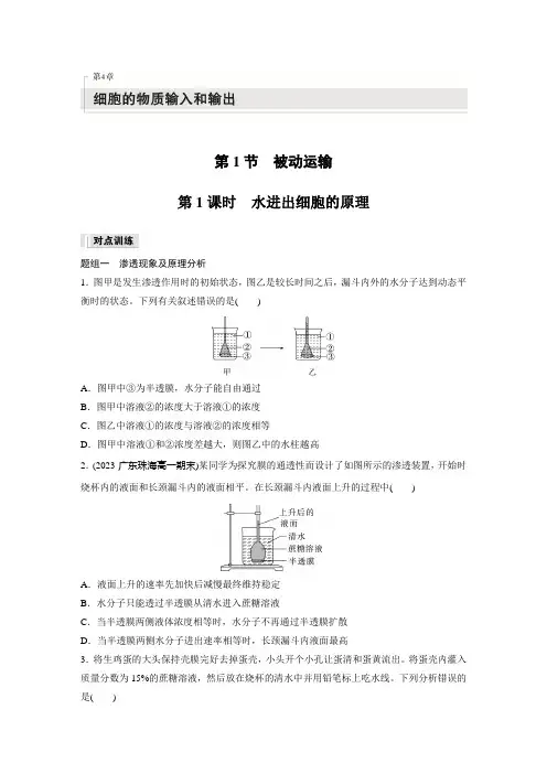 高中生物必修一 同步讲义第4章 第1节 第1课时 水进出细胞的原理