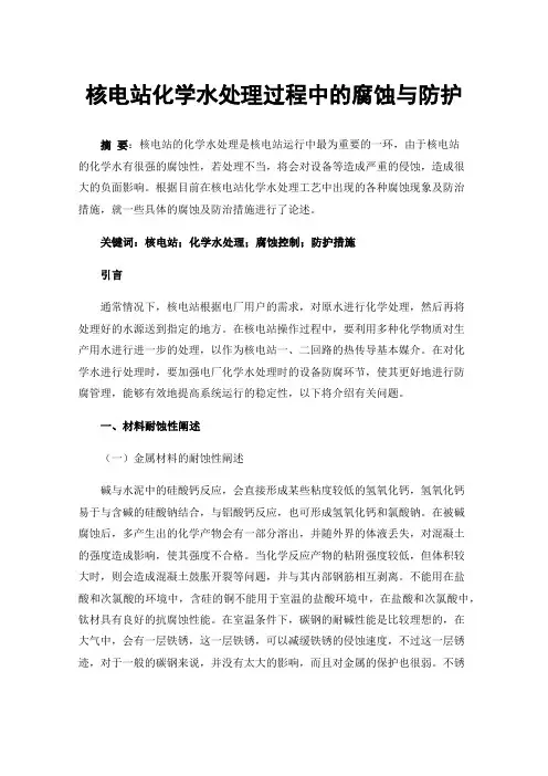 核电站化学水处理过程中的腐蚀与防护