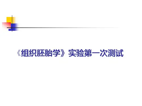 组胚学课件-第一阶段复习