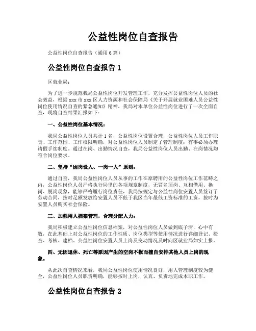 公益性岗位自查报告