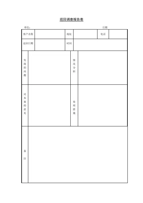 巡回调查报告表