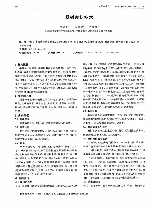 桑树栽培技术