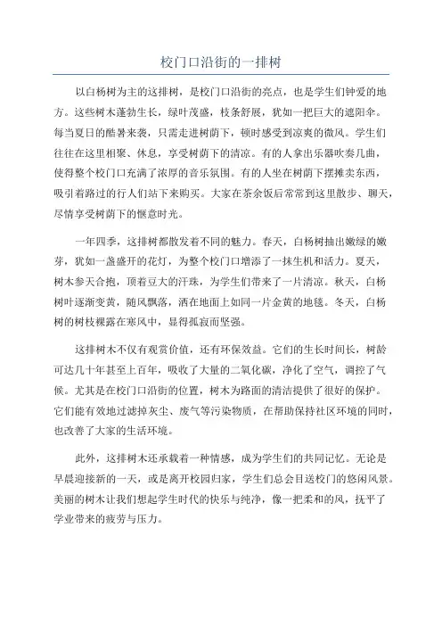 校门口沿街的一排树