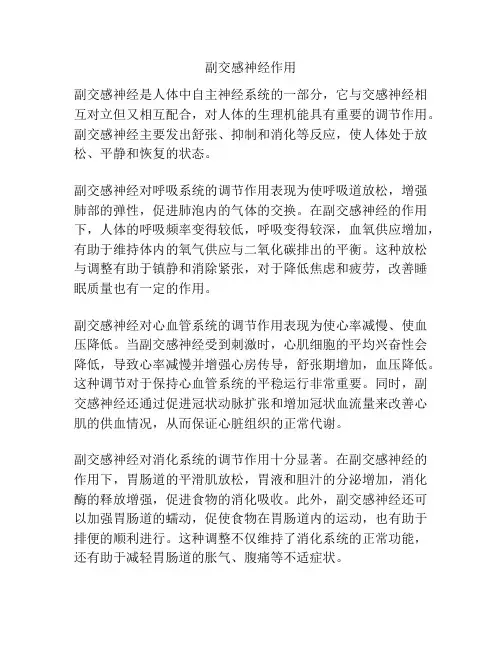 副交感神经作用