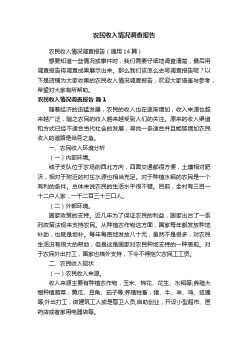 农民收入情况调查报告