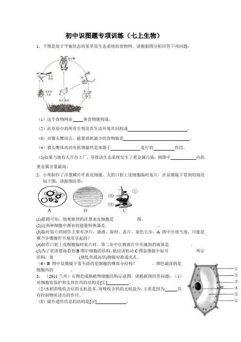 七上生物初中识图题专项训练
