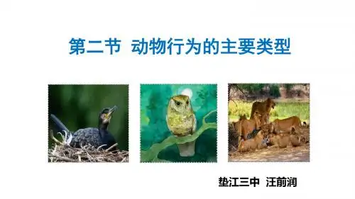 北师大版初中生物八上第五单元16.2《动物行为的主要类型》 (共28张PPT)