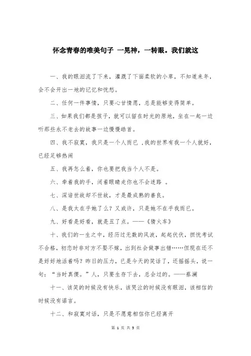 怀念青春的唯美句子 一晃神，一转眼。我们就这