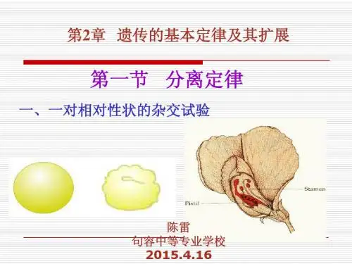 第2章__遗传的基本定律及其扩展