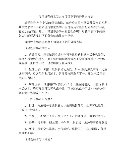 母猪没有奶水怎么办母猪不下奶的解决方法