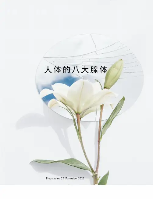 人体的八大腺体