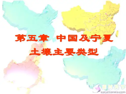 第4章 我国及宁夏主要土壤类型(第1、2节)2013..