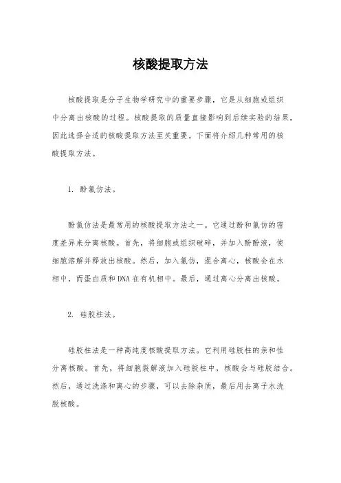 核酸提取方法