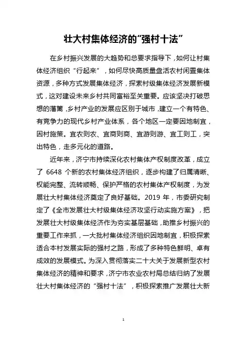 壮大村集体经济的“强村十法”