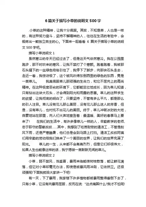 6篇关于描写小草的说明文500字