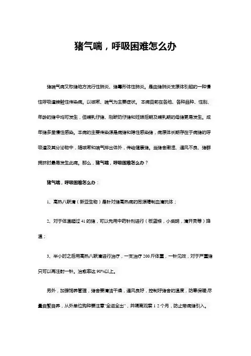 猪气喘,呼吸困难怎么办