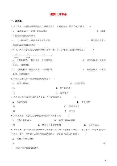 中考历史复习专题训练 俄国十月革命(含解析) 新人教版