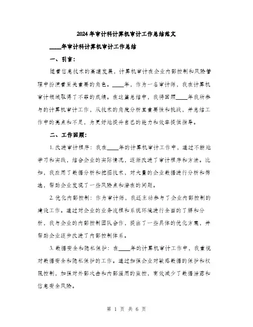 2024年审计科计算机审计工作总结范文(2篇)