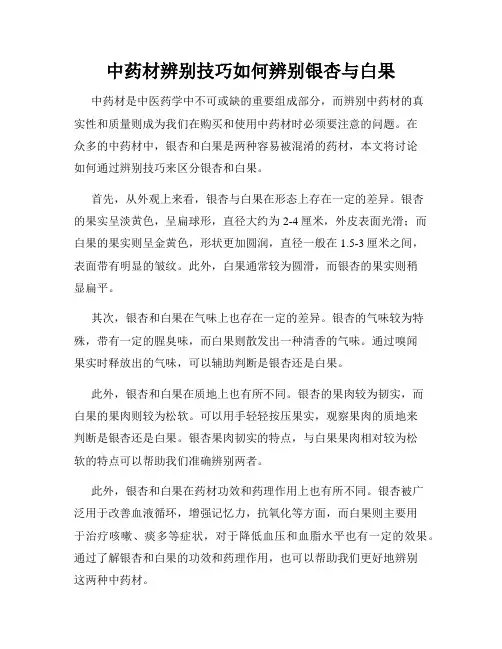 中药材辨别技巧如何辨别银杏与白果