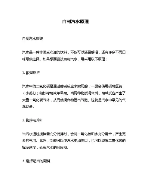 自制汽水原理