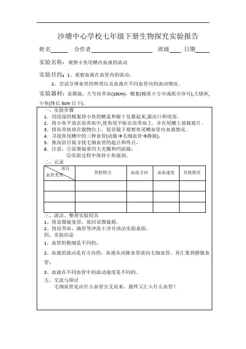 观察小鱼尾鳍内血液的流动探究报告