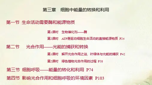 新教材苏教版高中生物必修1第三章细胞中能量的转换和利用教学课件