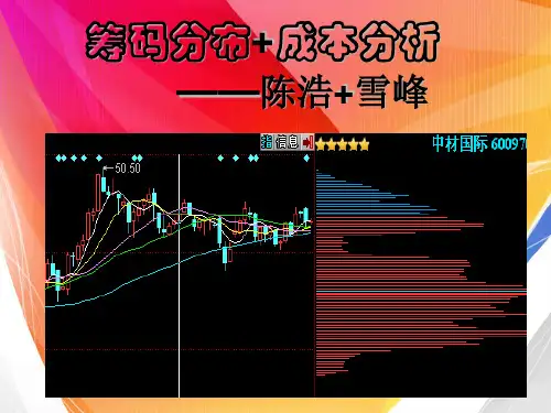 筹码分布+成本分析—陈浩+雪峰