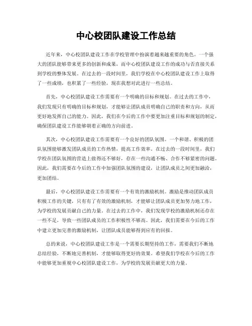 中心校团队建设工作总结