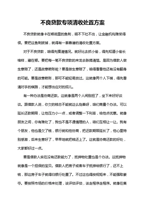 不良贷款专项清收处置方案