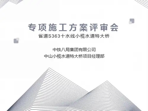小榄水道特大桥方案评审