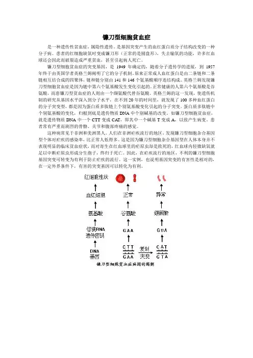 最新高二生物-镰刀型细胞贫血症 精品