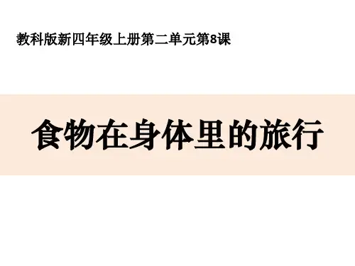 食物在身体里的旅行