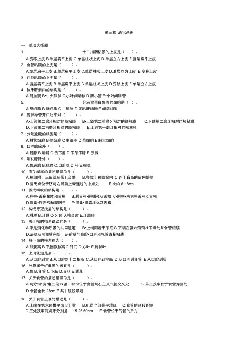 解剖学基础