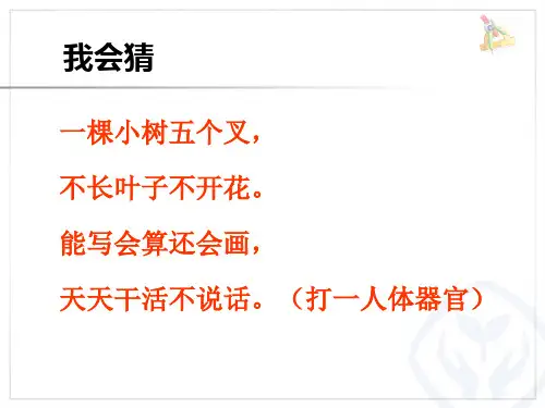 植树问题两端都栽公开课ppt课件