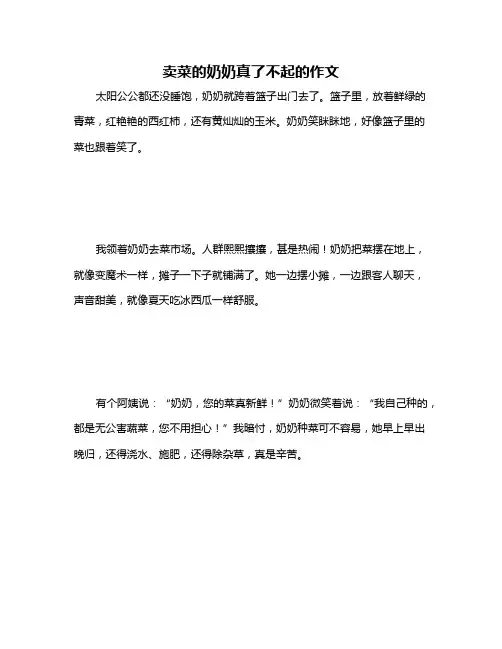 卖菜的奶奶真了不起的作文