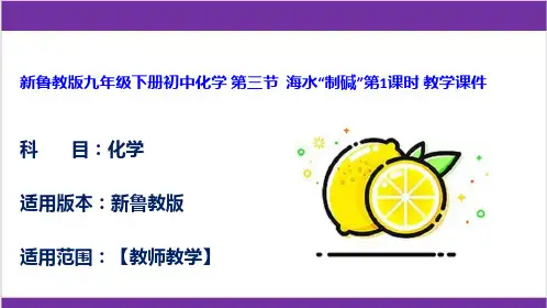 新鲁教版九年级下册初中化学 第三节  海水“制碱”第1课时 教学课件
