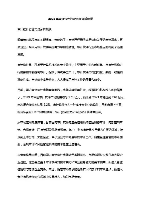 2023年审计软件行业市场分析现状