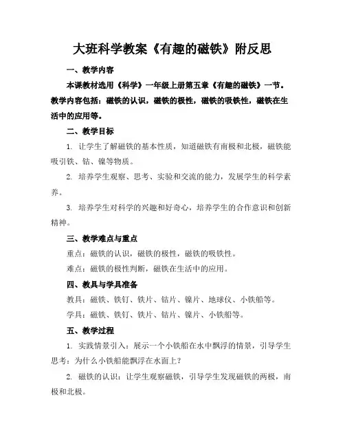 大班科学教案《有趣的磁铁》附反思