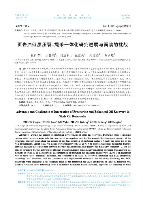 页岩油储层压裂–提采一体化研究进展与面临的挑战