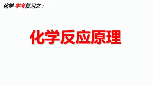 高中化学精品课件：化学反应原理学考复习ppt