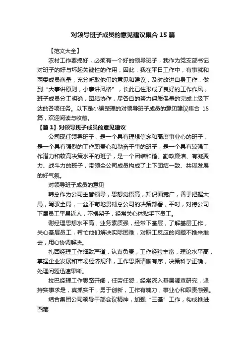 对领导班子成员的意见建议集合15篇