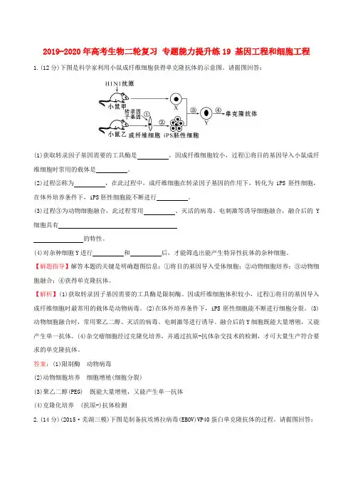 2019-2020年高考生物二轮复习 专题能力提升练19 基因工程和细胞工程