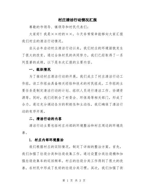 村庄清洁行动情况汇报
