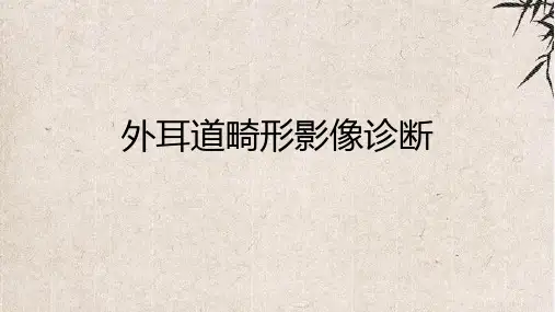 外耳道畸形影像诊断