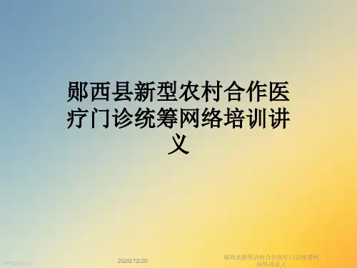 郧西县新型农村合作医疗门诊统筹网络培训讲义