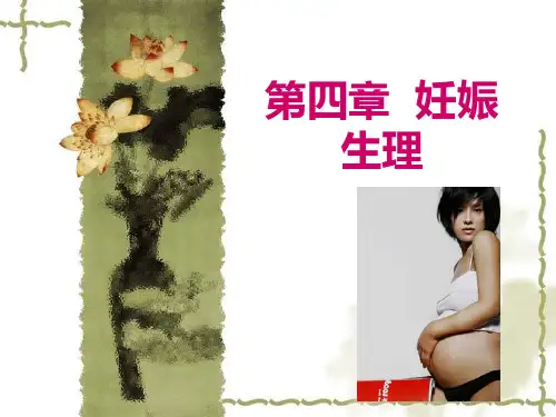 第四章  妊娠生理