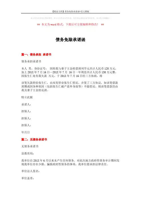 【精品文档】债务免除承诺函-范文模板 (2页)