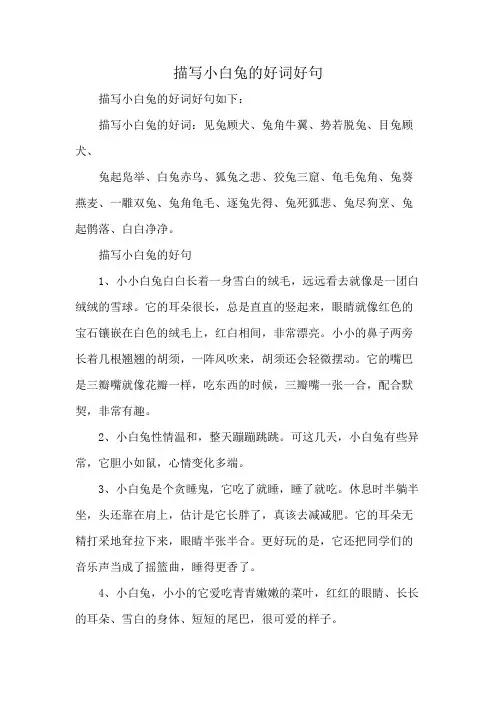 描写小白兔的好词好句