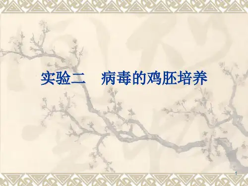实验二 新城疫病毒的鸡胚培养201506012